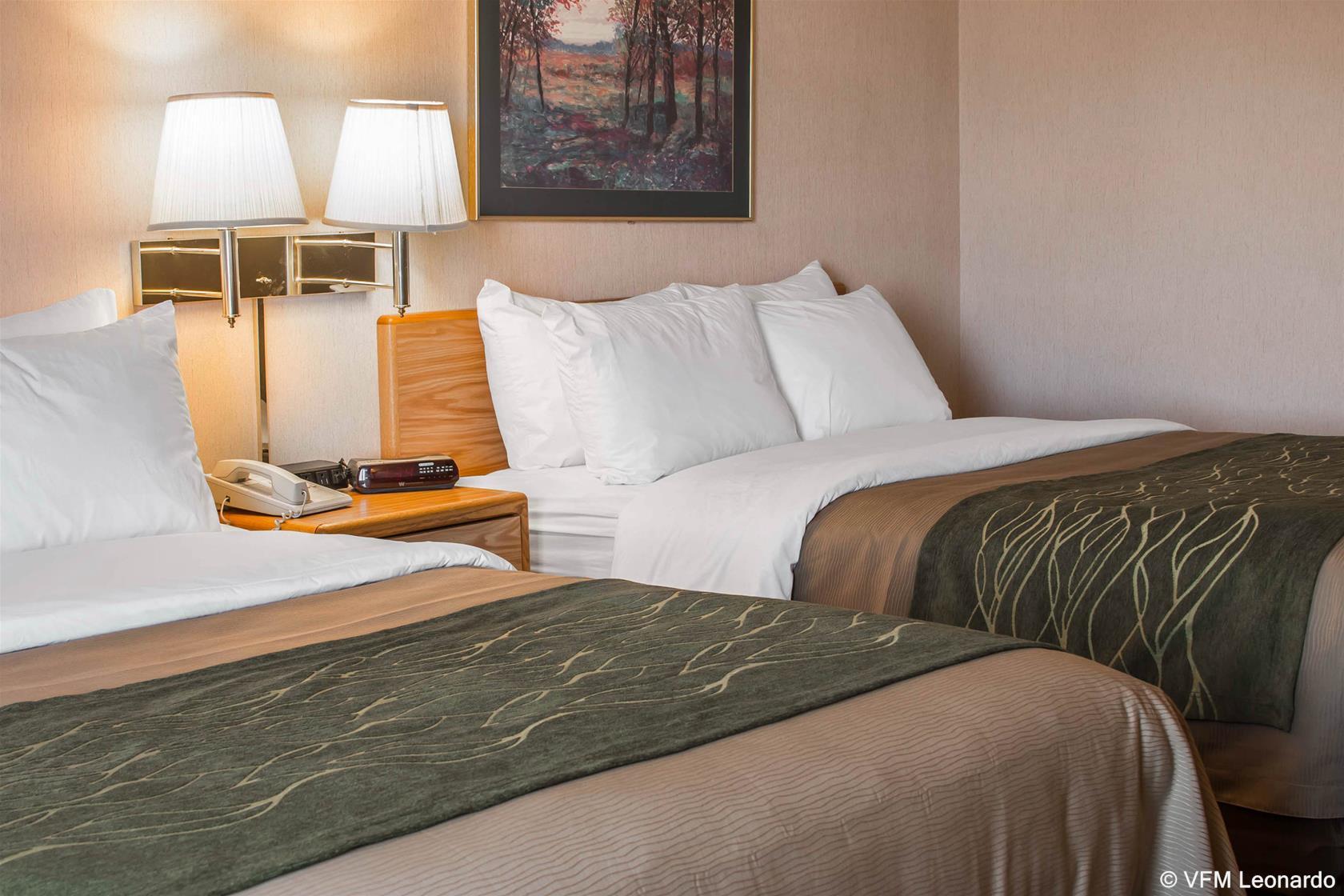Comfort Inn Charlotte Eksteriør billede
