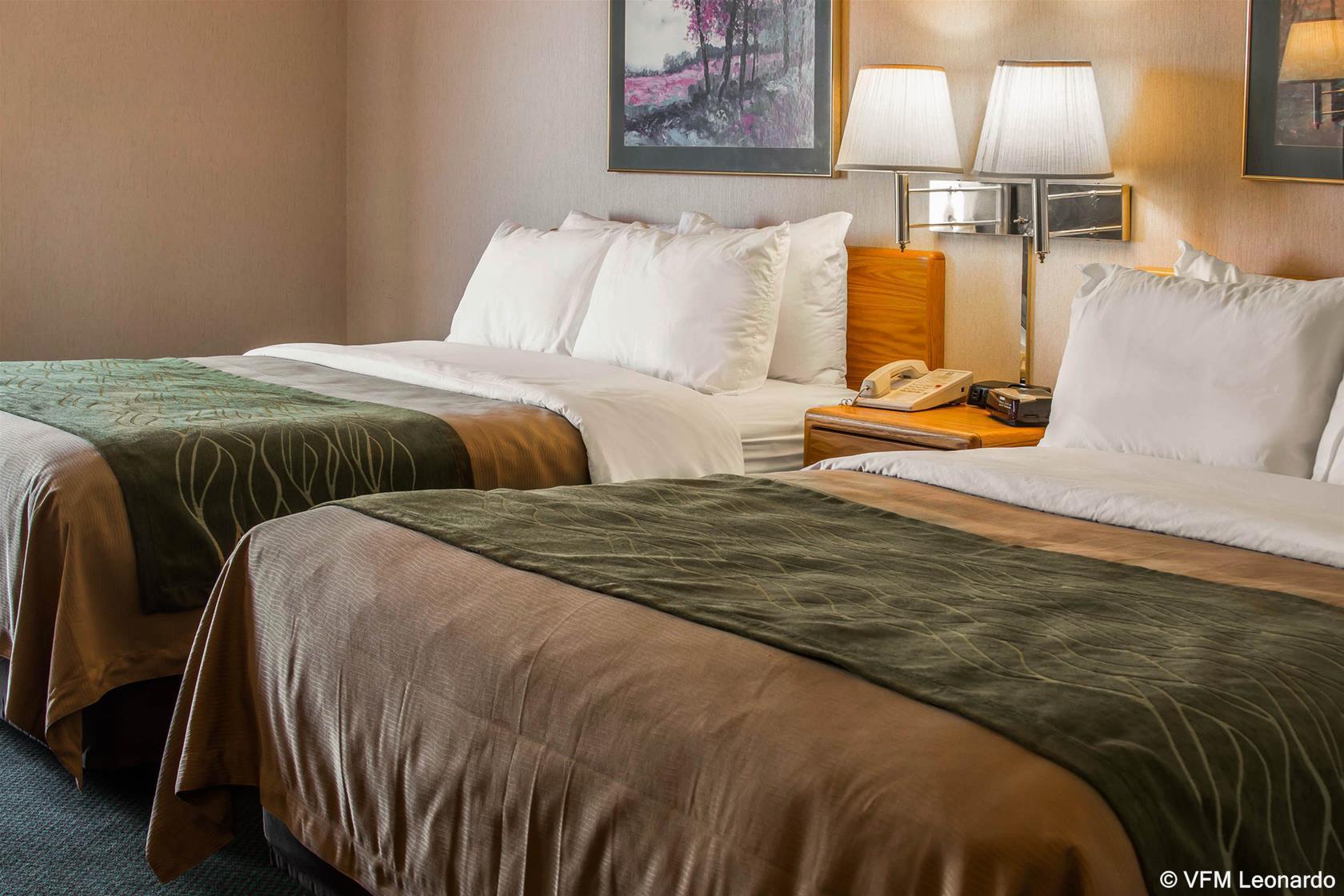 Comfort Inn Charlotte Eksteriør billede