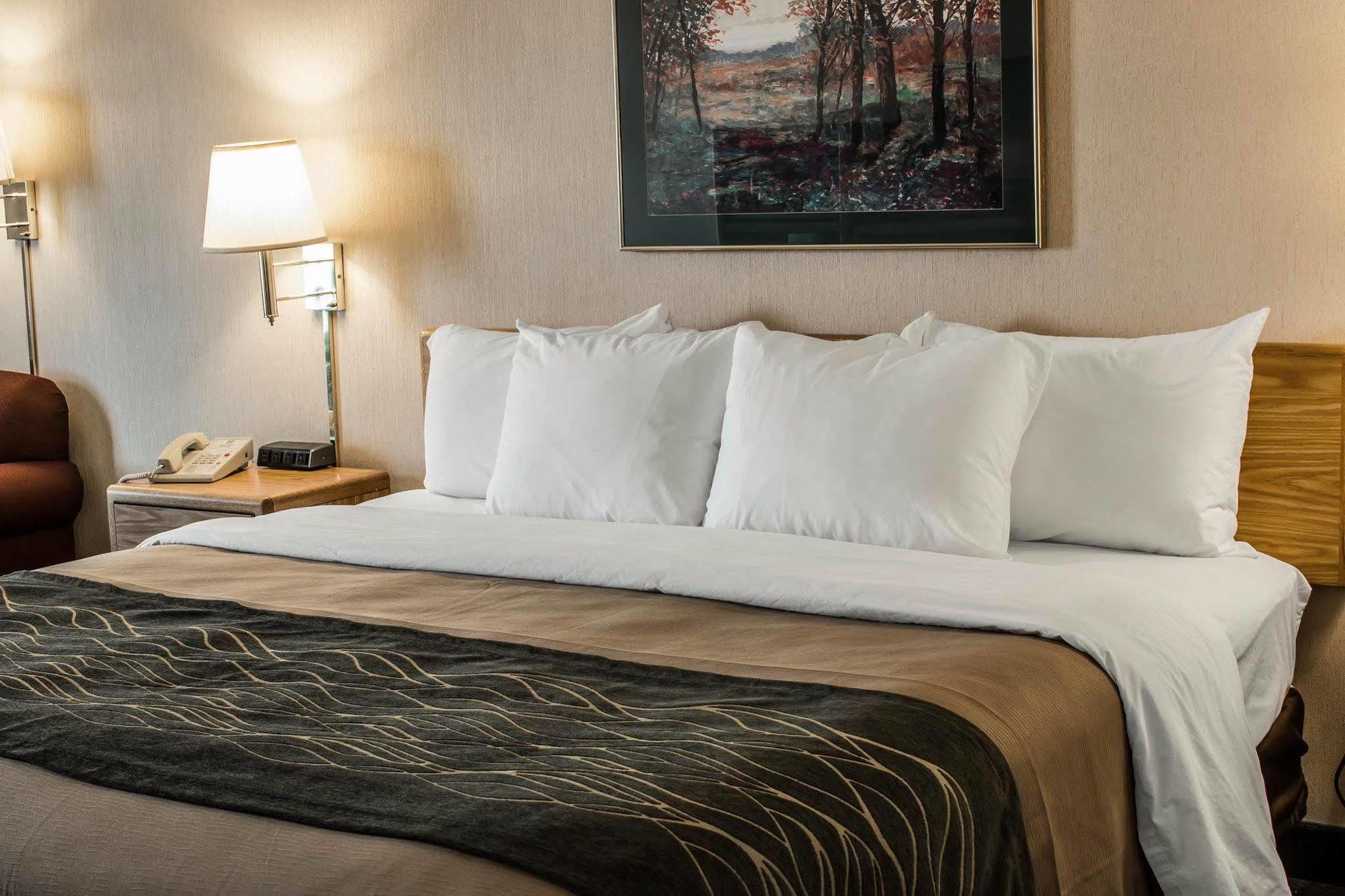 Comfort Inn Charlotte Eksteriør billede